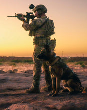 Load image into Gallery viewer, 2017 “War Dogs&quot; Shiraz