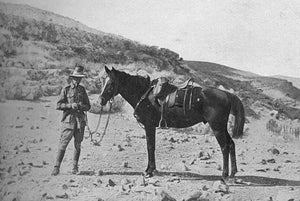 2017 “War Horse” Shiraz